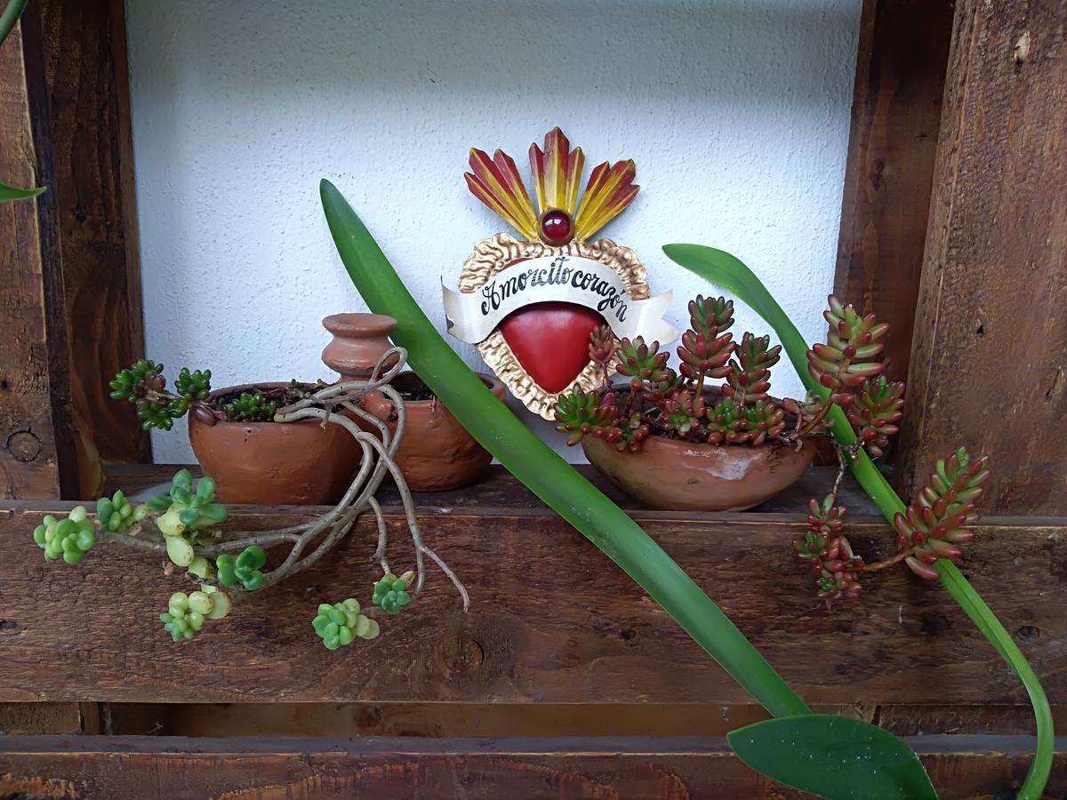 Posada Santa Hotel San Cristóbal de Las Casas Екстериор снимка
